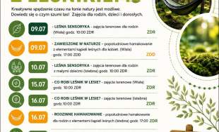 Harmonogram Wakacji z Leśnikiem