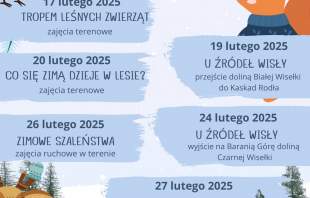 Ferie z leśnikiem - plakat