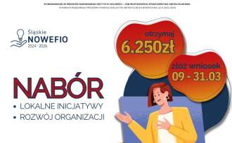 Nabór wniosków w projekcie Śląskie NOWEFIO