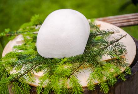 Dziewięćsił Festiwal fot. M. Kuźma