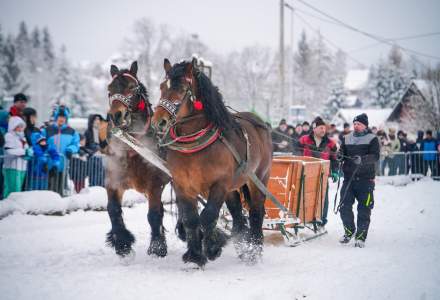 Zawody Furmanów 2026 fot. M. Kuźma