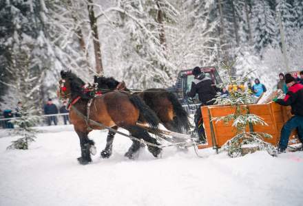 Zawody Furmanów 2026 fot. M. Kuźma