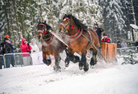 Zawody Furmanów 2026 fot. M. Kuźma