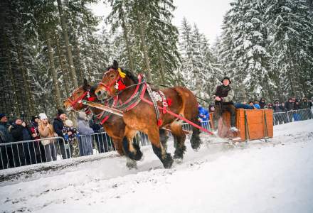 Zawody Furmanów 2026 fot. M. Kuźma