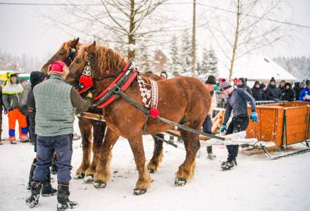 Zawody Furmanów 2026 fot. M. Kuźma