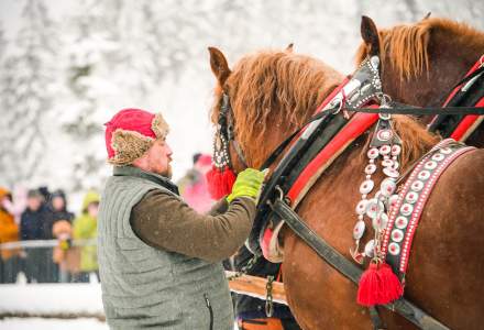 Zawody Furmanów 2026 fot. M. Kuźma