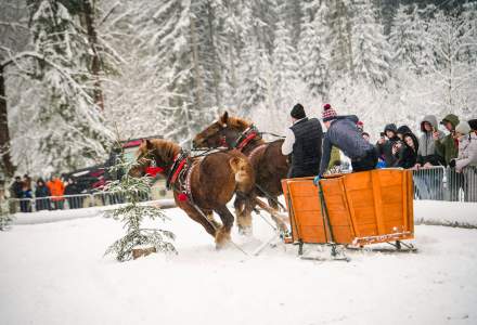 Zawody Furmanów 2026 fot. M. Kuźma