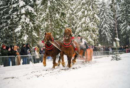 Zawody Furmanów 2026 fot. M. Kuźma