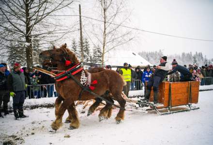 Zawody Furmanów 2026 fot. M. Kuźma