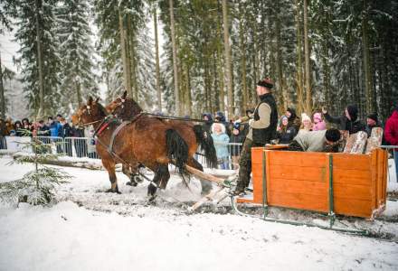 Zawody Furmanów 2026 fot. M. Kuźma