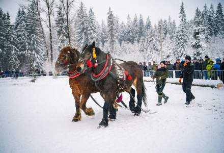 Zawody Furmanów 2026 fot. M. Kuźma