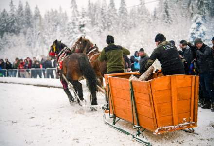 Zawody Furmanów 2026 fot. M. Kuźma
