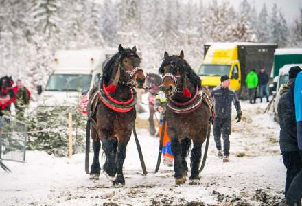 Zawody Furmanów 2026 fot. M. Kuźma