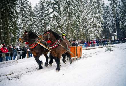 Zawody Furmanów 2026 fot. M. Kuźma