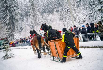 Zawody Furmanów 2026 fot. M. Kuźma