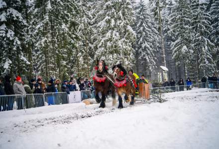 Zawody Furmanów 2026 fot. M. Kuźma