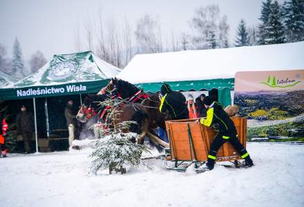 Zawody Furmanów 2026 fot. M. Kuźma