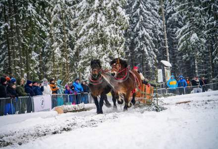 Zawody Furmanów 2026 fot. M. Kuźma