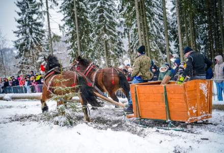 Zawody Furmanów 2026 fot. M. Kuźma