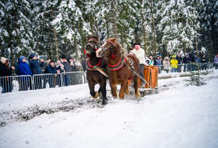 Zawody Furmanów 2026 fot. M. Kuźma