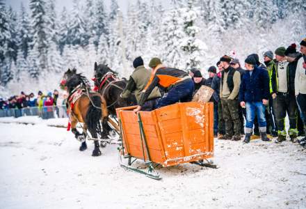 Zawody Furmanów 2026 fot. M. Kuźma