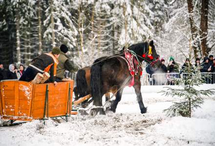 Zawody Furmanów 2026 fot. M. Kuźma