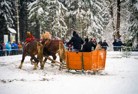 Zawody Furmanów 2026 fot. M. Kuźma