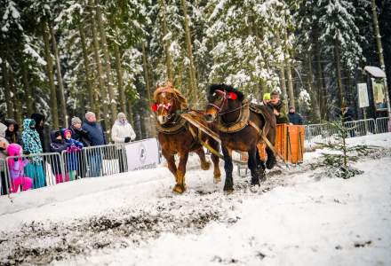 Zawody Furmanów 2026 fot. M. Kuźma