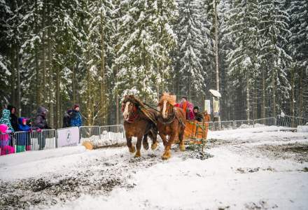 Zawody Furmanów 2026 fot. M. Kuźma
