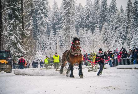 Zimowe Zawody Furmanów fot. Michał Kuźma