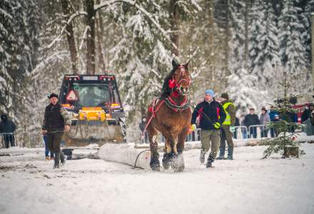 Zimowe Zawody Furmanów fot. Michał Kuźma
