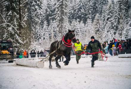 Zimowe Zawody Furmanów fot. Michał Kuźma