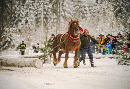 Zimowe Zawody Furmanów fot. Michał Kuźma