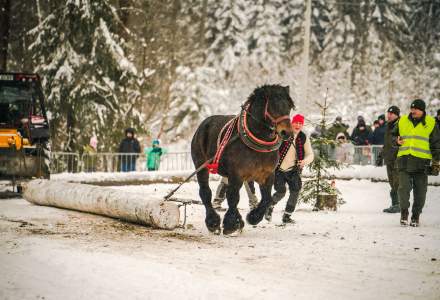 Zimowe Zawody Furmanów fot. Michał Kuźma