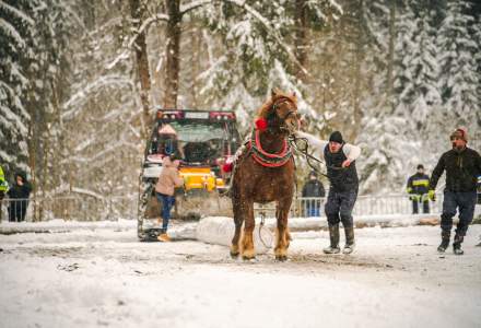 Zimowe Zawody Furmanów fot. Michał Kuźma