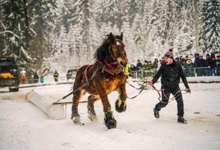 Zimowe Zawody Furmanów fot. Michał Kuźma