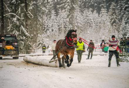 Zimowe Zawody Furmanów fot. Michał Kuźma