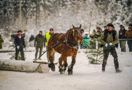 Zimowe Zawody Furmanów fot. Michał Kuźma