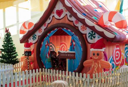 Magia Mikołajkowej Gwiazdki