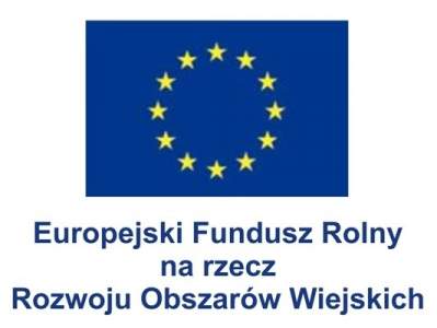 Logo Europejskiego Funduszu Rolnego na rzecz Rozwoju Obszarów Wiejskich