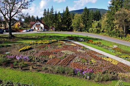 Nowy ogród roślin Beskidu Śląskiego przy Ośrodku Edukacji Ekologicznej w Istebnej - Dzielcu