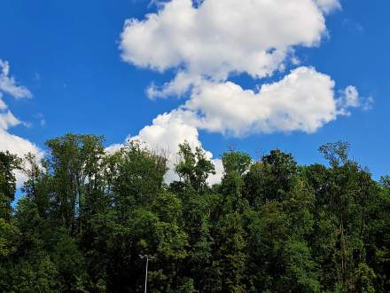 Sparing z Piastem Cieszyn (1:0)