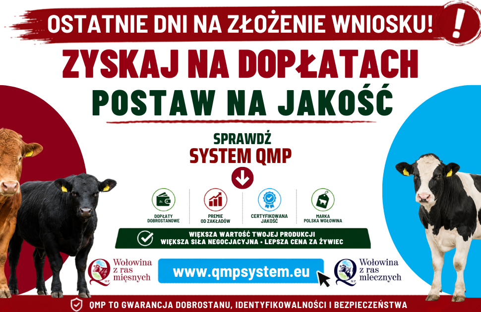 Dodatkowe pieniądze dla hodowców z QMP – tylko do 1 czerwca!